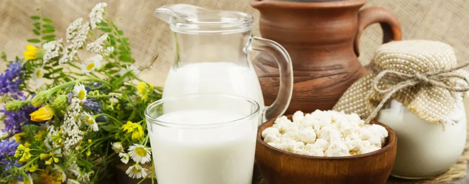 Всегда свежие продукты