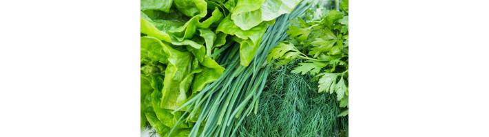 Свежая зелень 