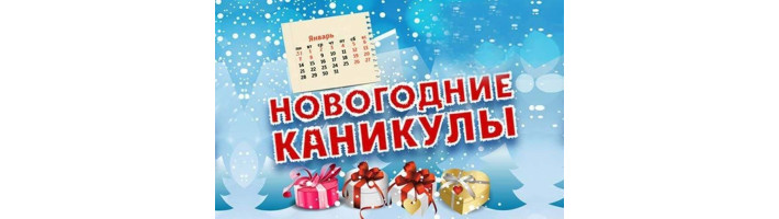 Новогодние каникулы.