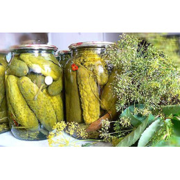 Огурцы маринованные в банке