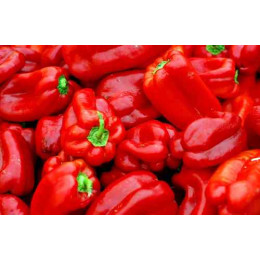 Перец болгарский (красный)