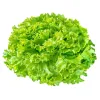 Салат кустовой